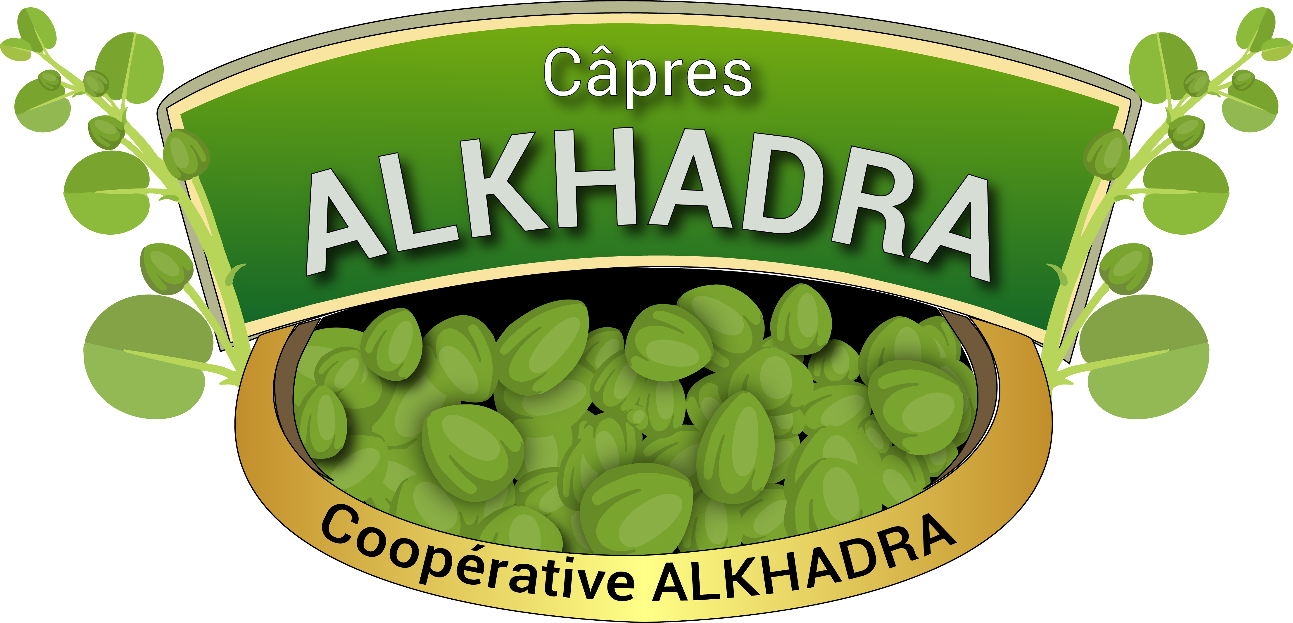 Cooperative ALKHADRA